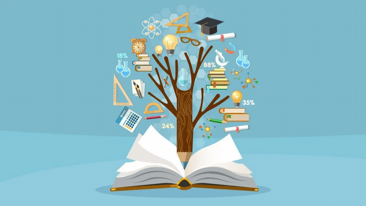 Top Schools in North Bangalore That Focus on Holistic Education